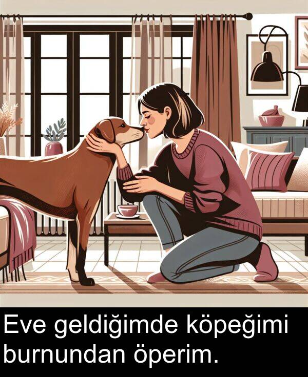 geldiğimde: Eve geldiğimde köpeğimi burnundan öperim.