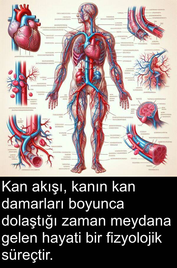 kan: Kan akışı, kanın kan damarları boyunca dolaştığı zaman meydana gelen hayati bir fizyolojik süreçtir.