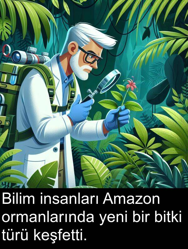 insanları: Bilim insanları Amazon ormanlarında yeni bir bitki türü keşfetti.