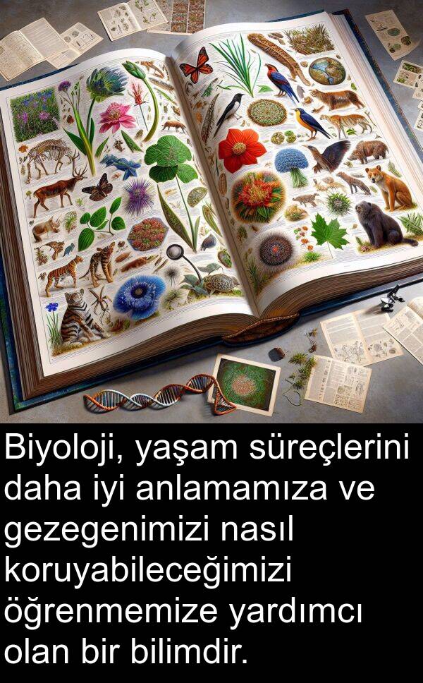 yardımcı: Biyoloji, yaşam süreçlerini daha iyi anlamamıza ve gezegenimizi nasıl koruyabileceğimizi öğrenmemize yardımcı olan bir bilimdir.