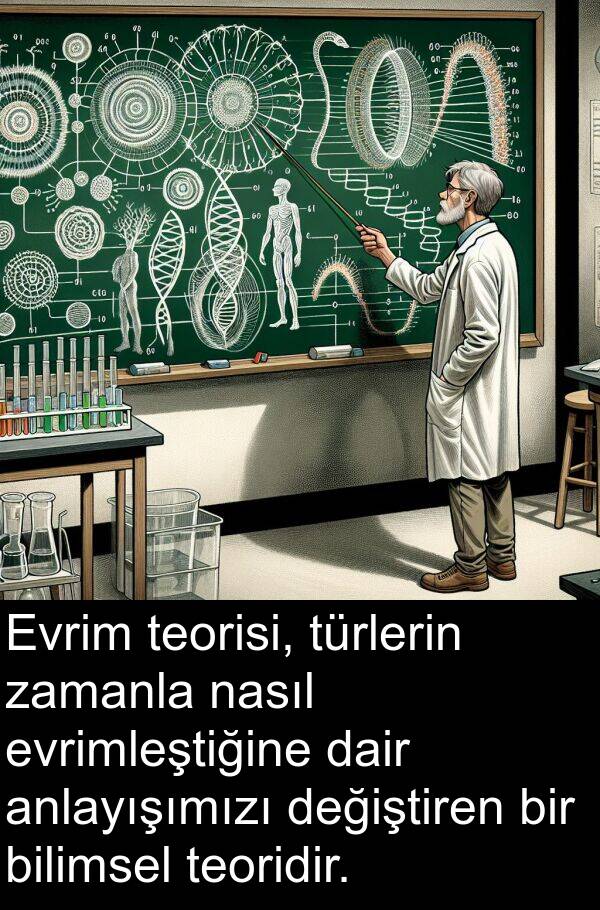 değiştiren: Evrim teorisi, türlerin zamanla nasıl evrimleştiğine dair anlayışımızı değiştiren bir bilimsel teoridir.