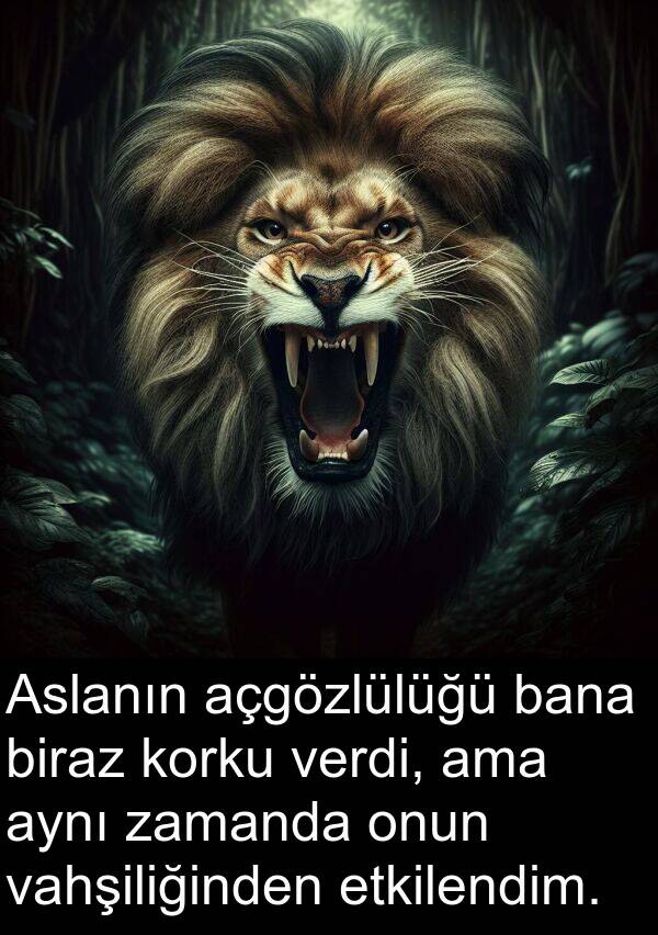 verdi: Aslanın açgözlülüğü bana biraz korku verdi, ama aynı zamanda onun vahşiliğinden etkilendim.