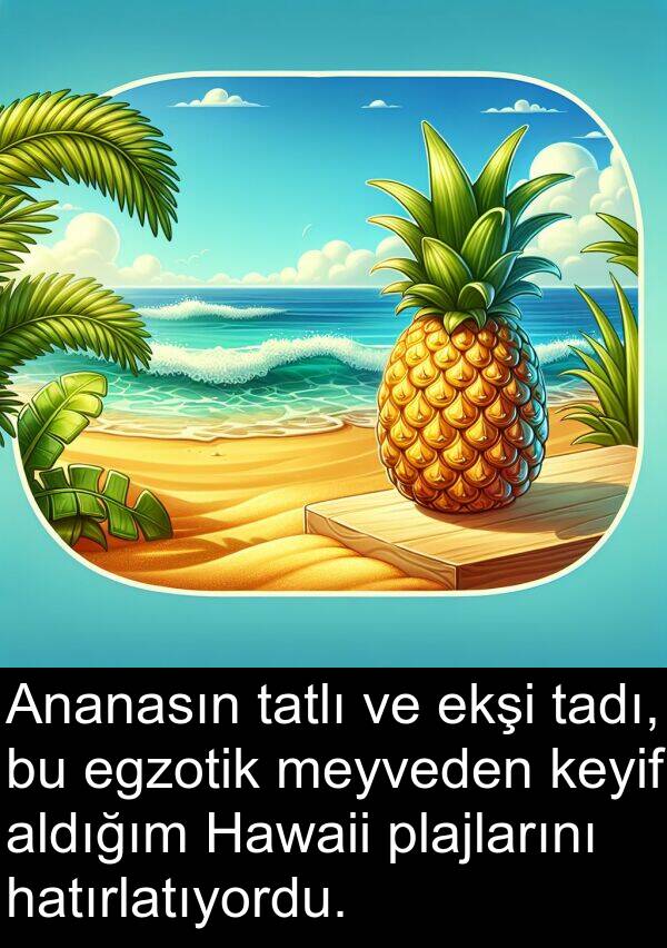 hatırlatıyordu: Ananasın tatlı ve ekşi tadı, bu egzotik meyveden keyif aldığım Hawaii plajlarını hatırlatıyordu.