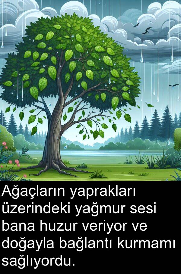 yaprakları: Ağaçların yaprakları üzerindeki yağmur sesi bana huzur veriyor ve doğayla bağlantı kurmamı sağlıyordu.