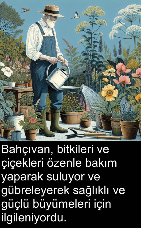 yaparak: Bahçıvan, bitkileri ve çiçekleri özenle bakım yaparak suluyor ve gübreleyerek sağlıklı ve güçlü büyümeleri için ilgileniyordu.