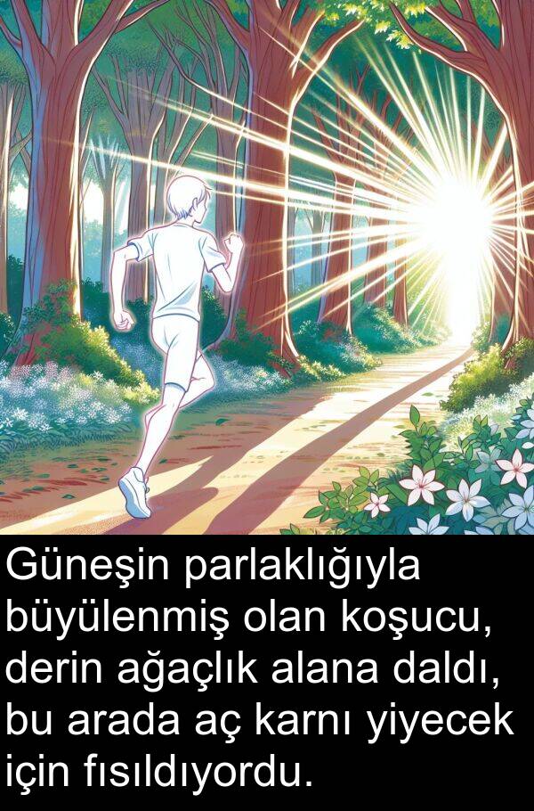 daldı: Güneşin parlaklığıyla büyülenmiş olan koşucu, derin ağaçlık alana daldı, bu arada aç karnı yiyecek için fısıldıyordu.