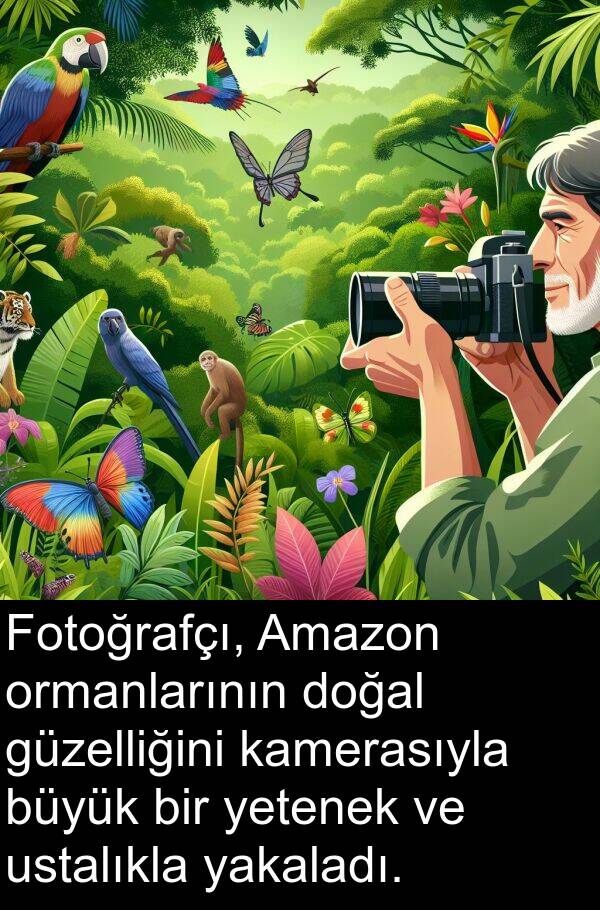 kamerasıyla: Fotoğrafçı, Amazon ormanlarının doğal güzelliğini kamerasıyla büyük bir yetenek ve ustalıkla yakaladı.