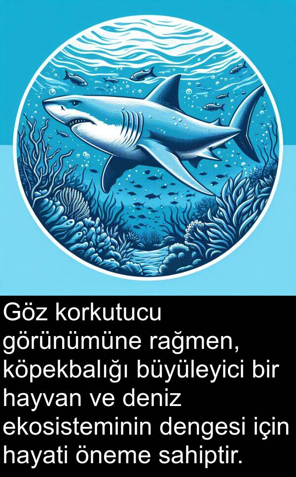 hayvan: Göz korkutucu görünümüne rağmen, köpekbalığı büyüleyici bir hayvan ve deniz ekosisteminin dengesi için hayati öneme sahiptir.