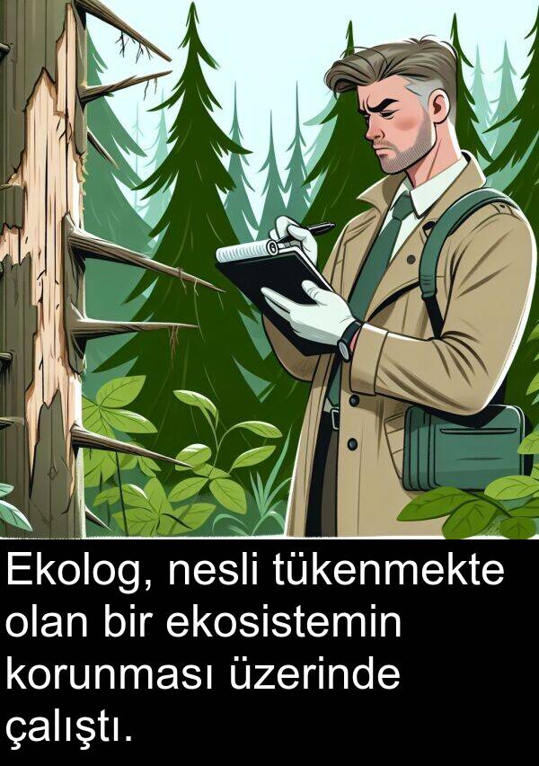 çalıştı: Ekolog, nesli tükenmekte olan bir ekosistemin korunması üzerinde çalıştı.