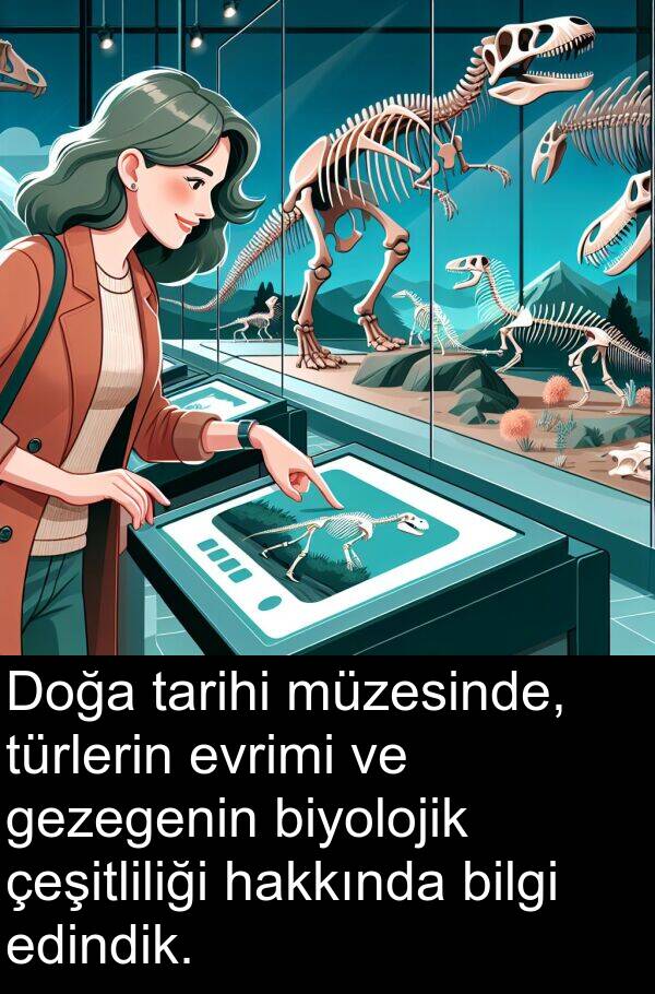 hakkında: Doğa tarihi müzesinde, türlerin evrimi ve gezegenin biyolojik çeşitliliği hakkında bilgi edindik.