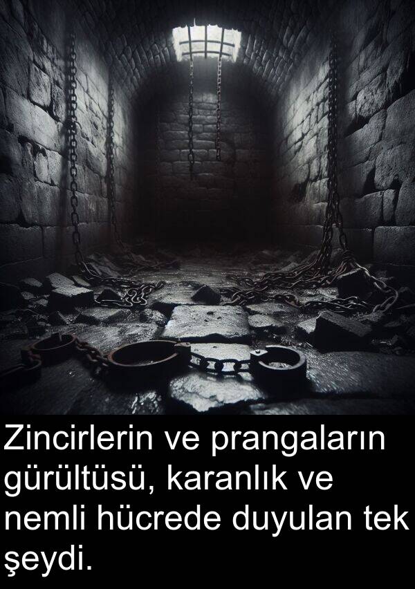 nemli: Zincirlerin ve prangaların gürültüsü, karanlık ve nemli hücrede duyulan tek şeydi.