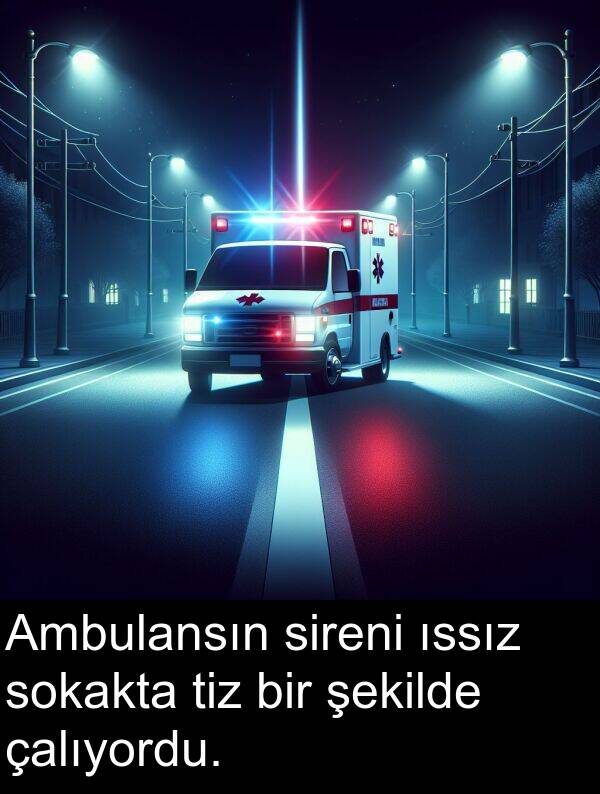 çalıyordu: Ambulansın sireni ıssız sokakta tiz bir şekilde çalıyordu.