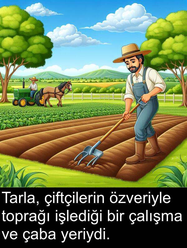 çalışma: Tarla, çiftçilerin özveriyle toprağı işlediği bir çalışma ve çaba yeriydi.