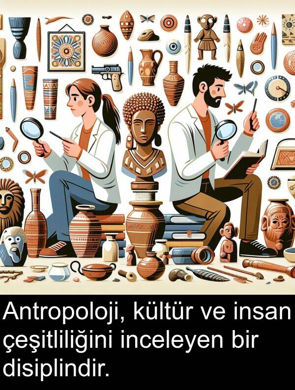 çeşitliliğini: Antropoloji, kültür ve insan çeşitliliğini inceleyen bir disiplindir.