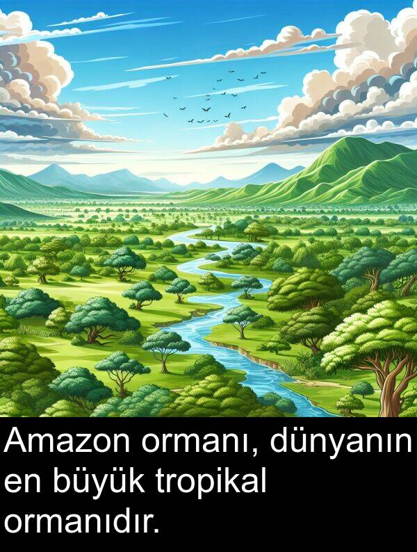 tropikal: Amazon ormanı, dünyanın en büyük tropikal ormanıdır.