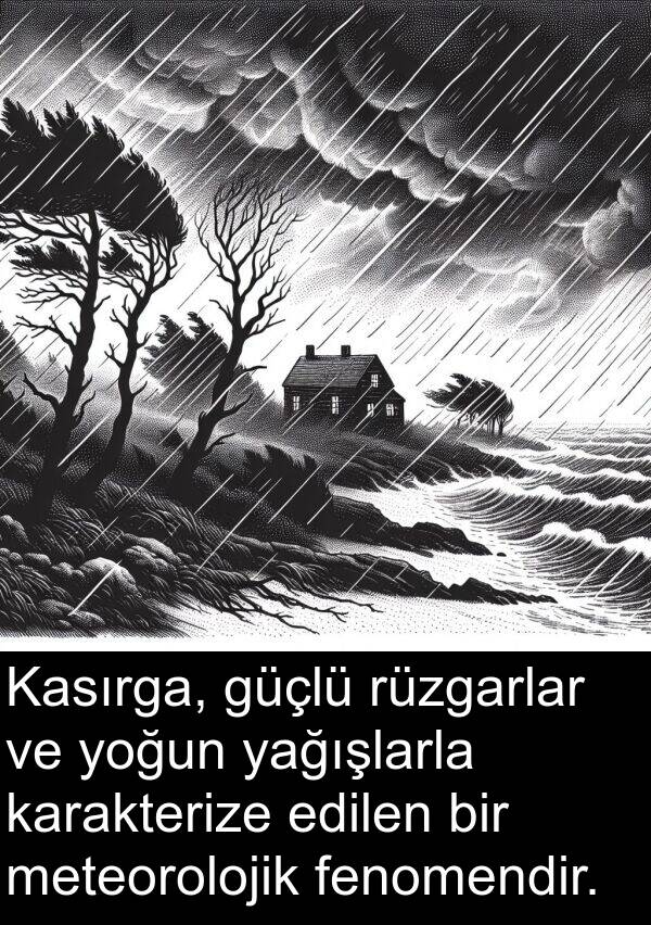 yağışlarla: Kasırga, güçlü rüzgarlar ve yoğun yağışlarla karakterize edilen bir meteorolojik fenomendir.