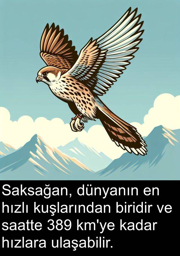 ulaşabilir: Saksağan, dünyanın en hızlı kuşlarından biridir ve saatte 389 km'ye kadar hızlara ulaşabilir.