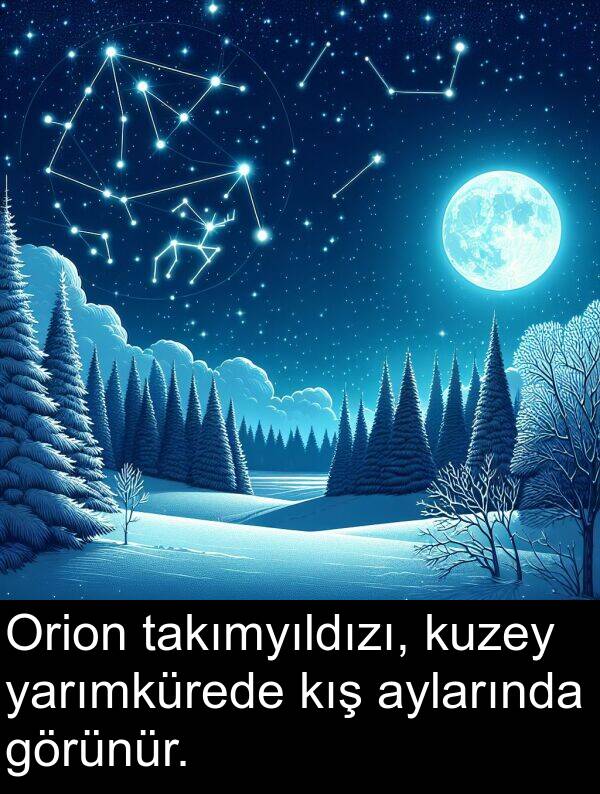 takımyıldızı: Orion takımyıldızı, kuzey yarımkürede kış aylarında görünür.