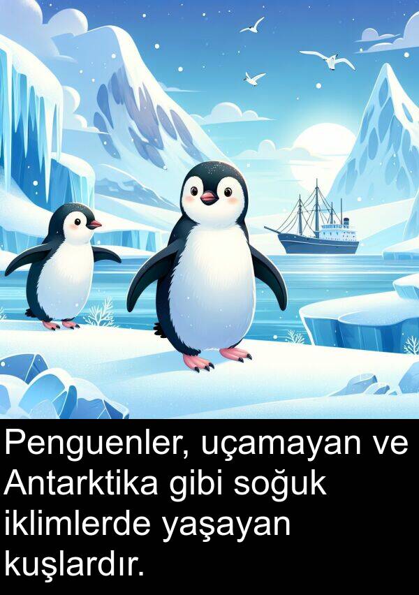 uçamayan: Penguenler, uçamayan ve Antarktika gibi soğuk iklimlerde yaşayan kuşlardır.