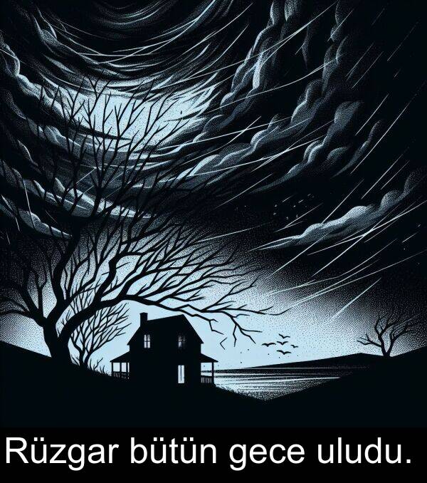 gece: Rüzgar bütün gece uludu.