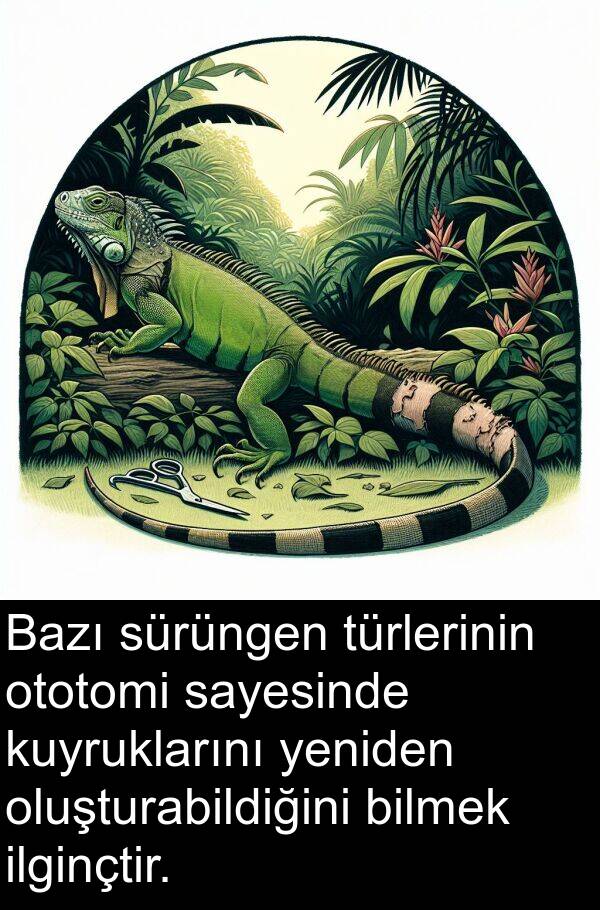 oluşturabildiğini: Bazı sürüngen türlerinin ototomi sayesinde kuyruklarını yeniden oluşturabildiğini bilmek ilginçtir.