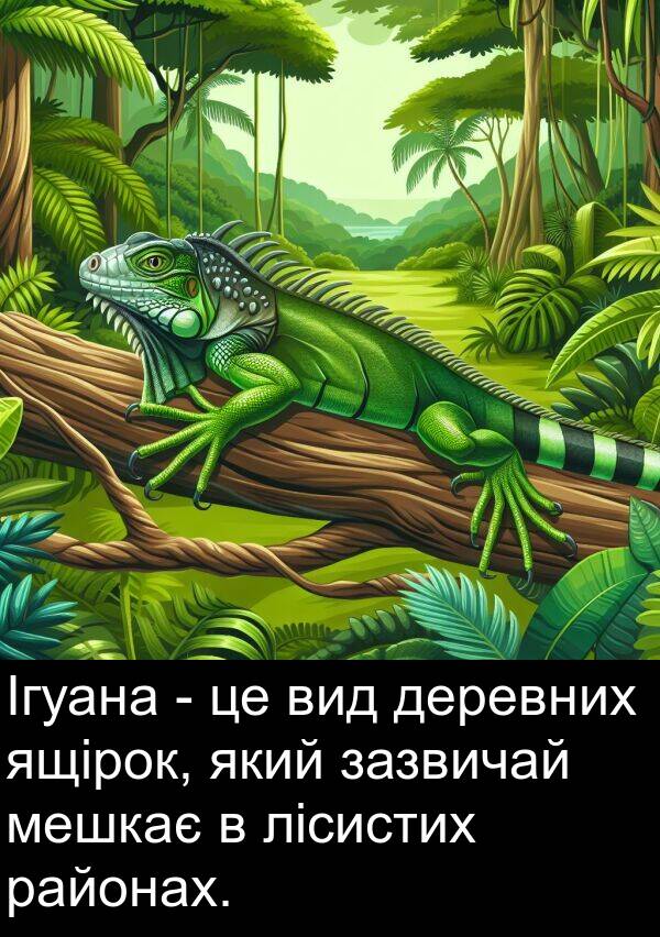 деревних: Ігуана - це вид деревних ящірок, який зазвичай мешкає в лісистих районах.