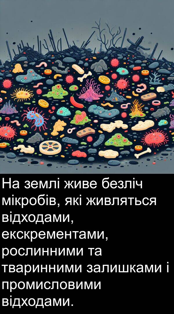 залишками: На землі живе безліч мікробів, які живляться відходами, екскрементами, рослинними та тваринними залишками і промисловими відходами.