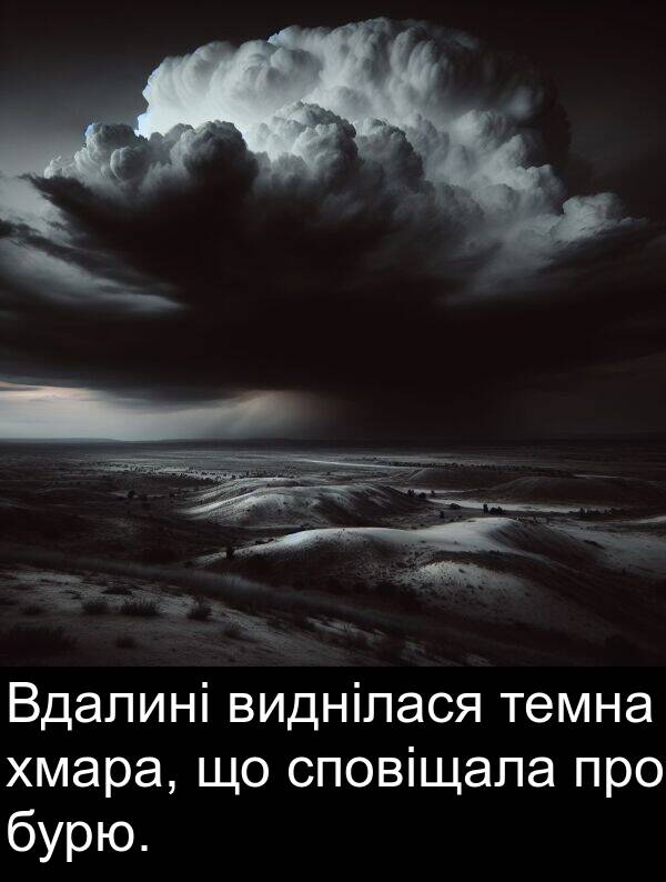 темна: Вдалині виднілася темна хмара, що сповіщала про бурю.