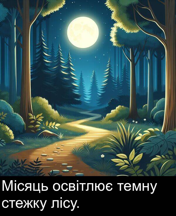 лісу: Місяць освітлює темну стежку лісу.