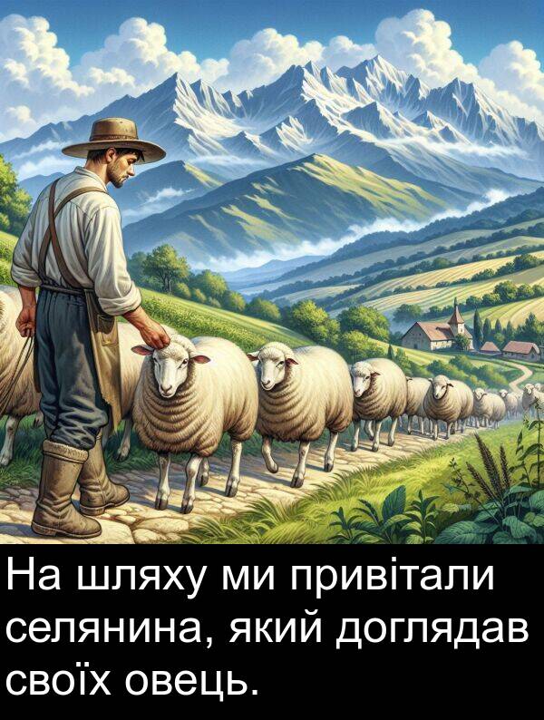 шляху: На шляху ми привітали селянина, який доглядав своїх овець.