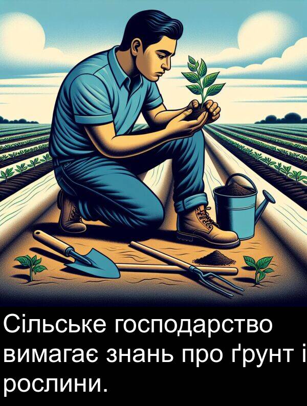 ґрунт: Сільське господарство вимагає знань про ґрунт і рослини.