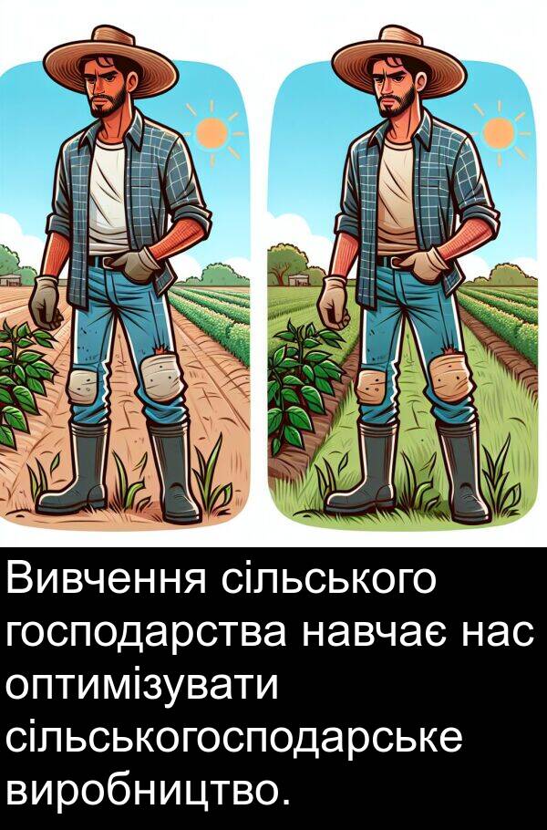 сільськогосподарське: Вивчення сільського господарства навчає нас оптимізувати сільськогосподарське виробництво.