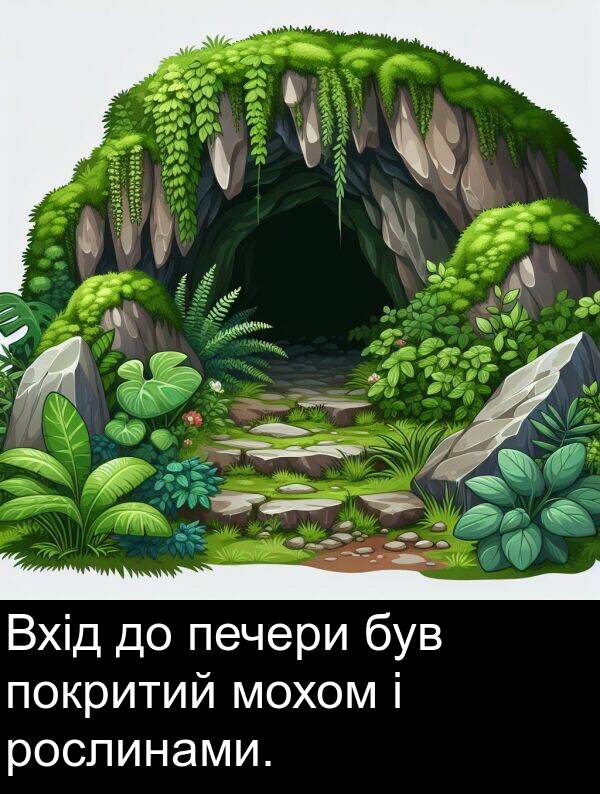 рослинами: Вхід до печери був покритий мохом і рослинами.