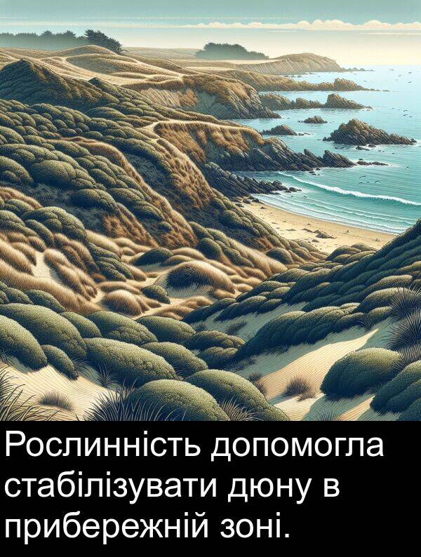 допомогла: Рослинність допомогла стабілізувати дюну в прибережній зоні.