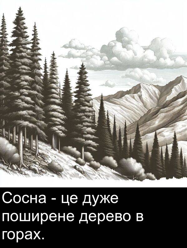 дерево: Сосна - це дуже поширене дерево в горах.