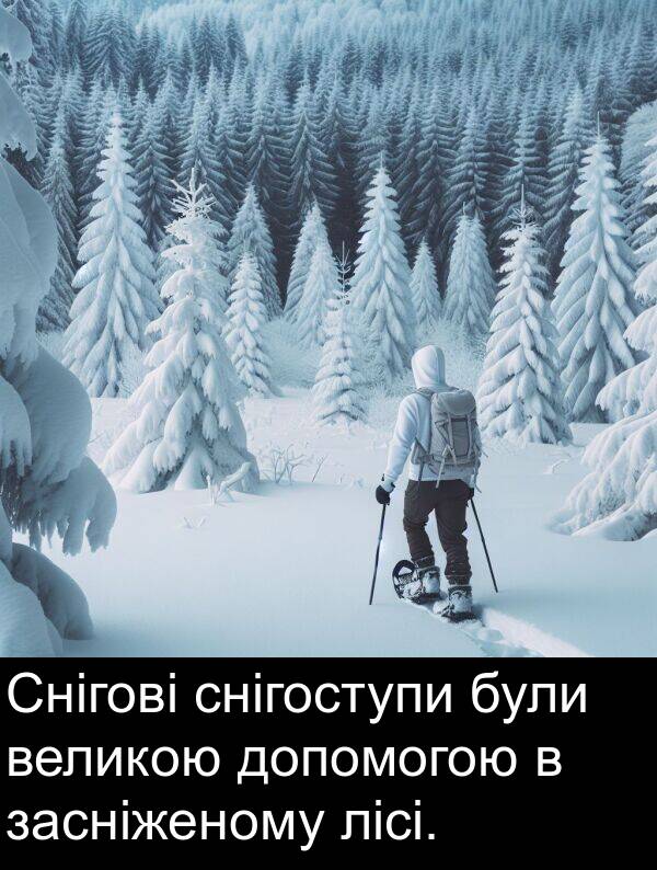 лісі: Снігові снігоступи були великою допомогою в засніженому лісі.