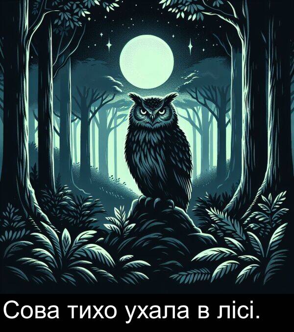 лісі: Сова тихо ухала в лісі.