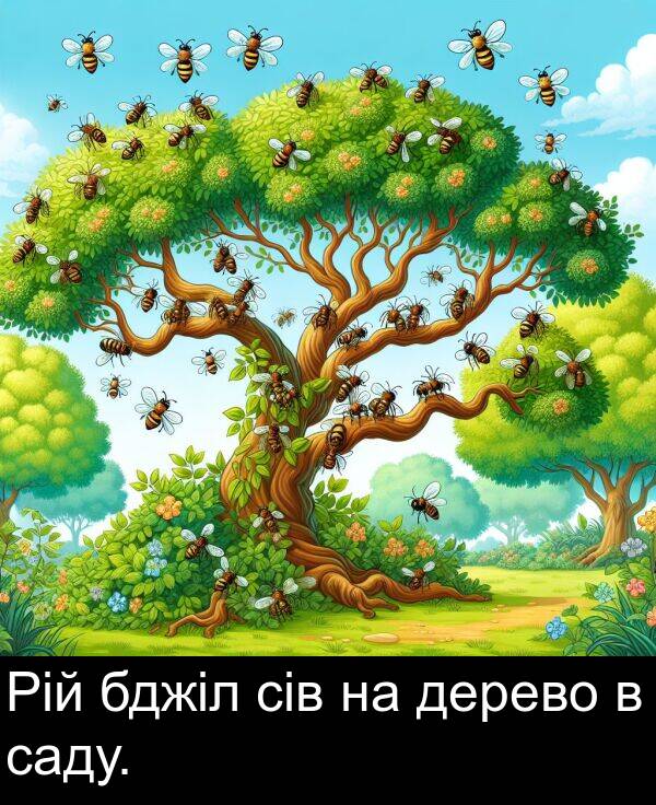 дерево: Рій бджіл сів на дерево в саду.