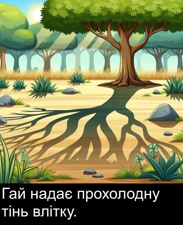 надає: Гай надає прохолодну тінь влітку.