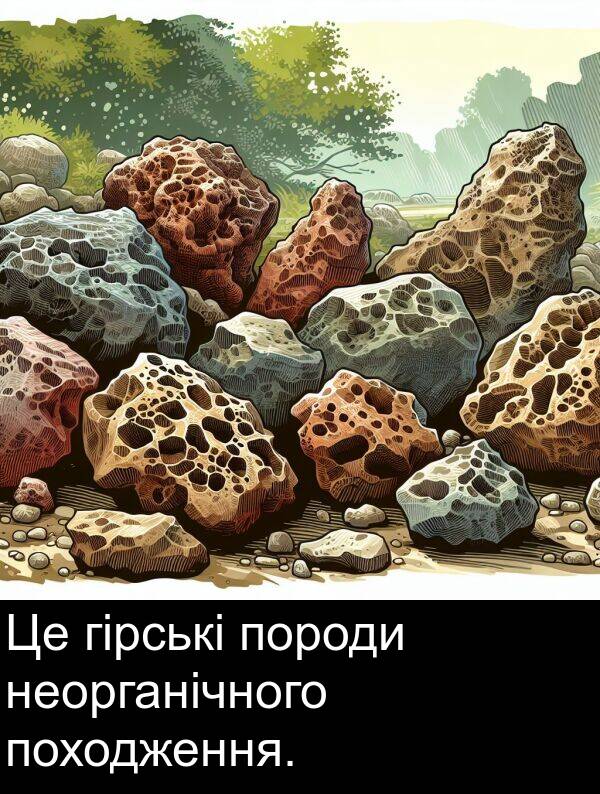 гірські: Це гірські породи неорганічного походження.