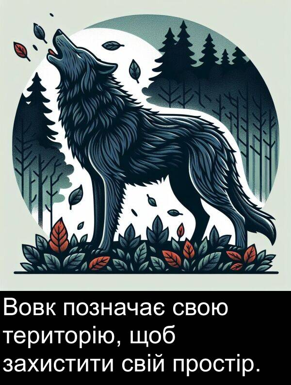 свою: Вовк позначає свою територію, щоб захистити свій простір.