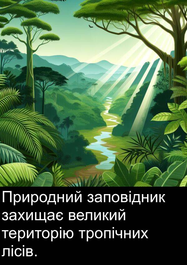 лісів: Природний заповідник захищає великий територію тропічних лісів.