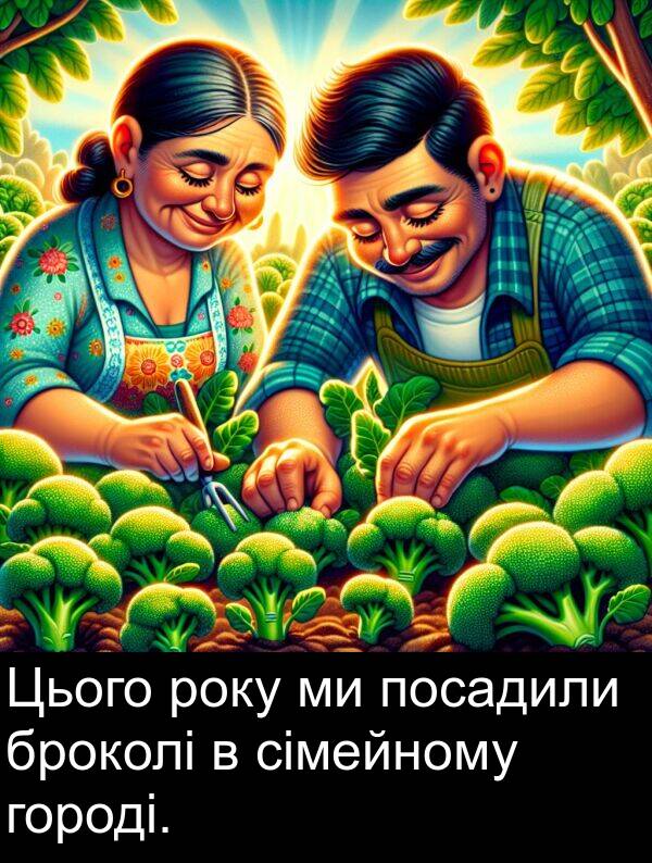 сімейному: Цього року ми посадили броколі в сімейному городі.