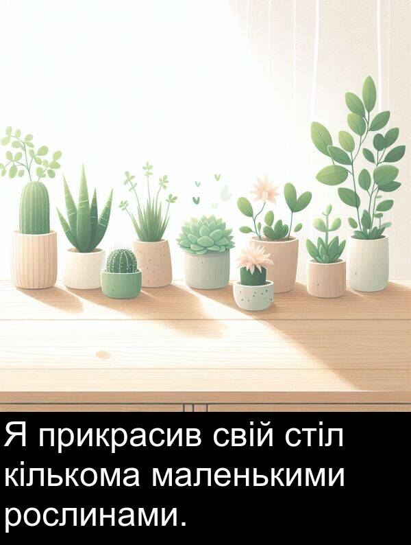 маленькими: Я прикрасив свій стіл кількома маленькими рослинами.