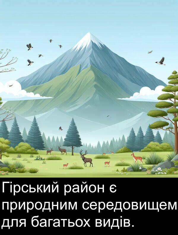 район: Гірський район є природним середовищем для багатьох видів.
