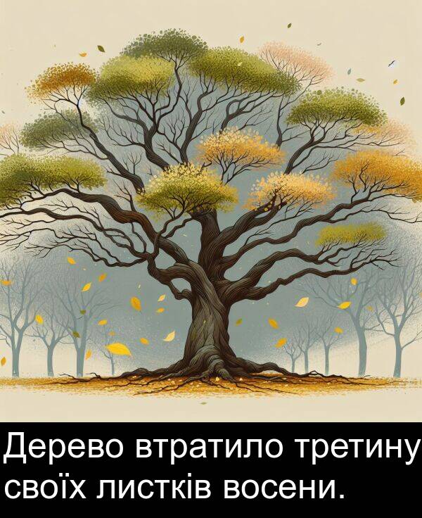 листків: Дерево втратило третину своїх листків восени.