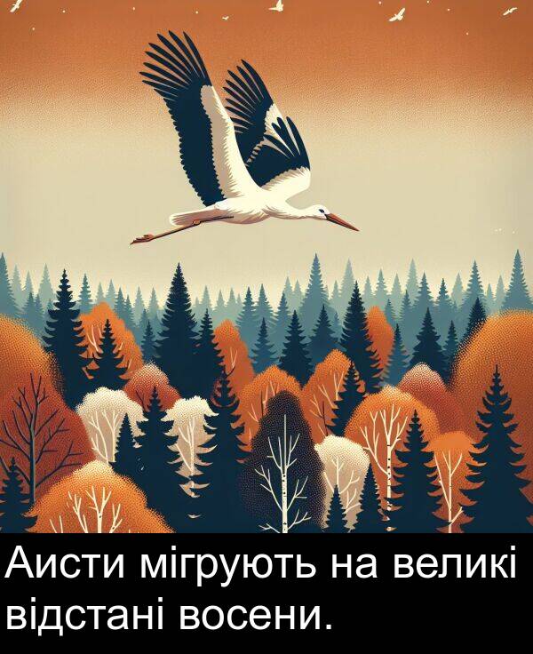 мігрують: Аисти мігрують на великі відстані восени.