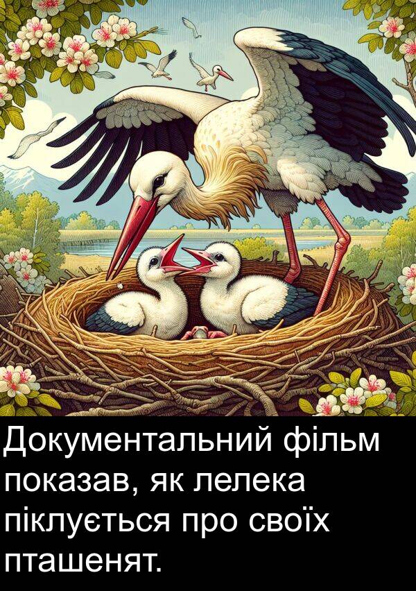 піклується: Документальний фільм показав, як лелека піклується про своїх пташенят.