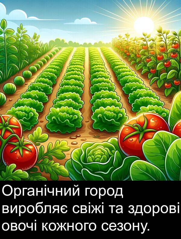 свіжі: Органічний город виробляє свіжі та здорові овочі кожного сезону.