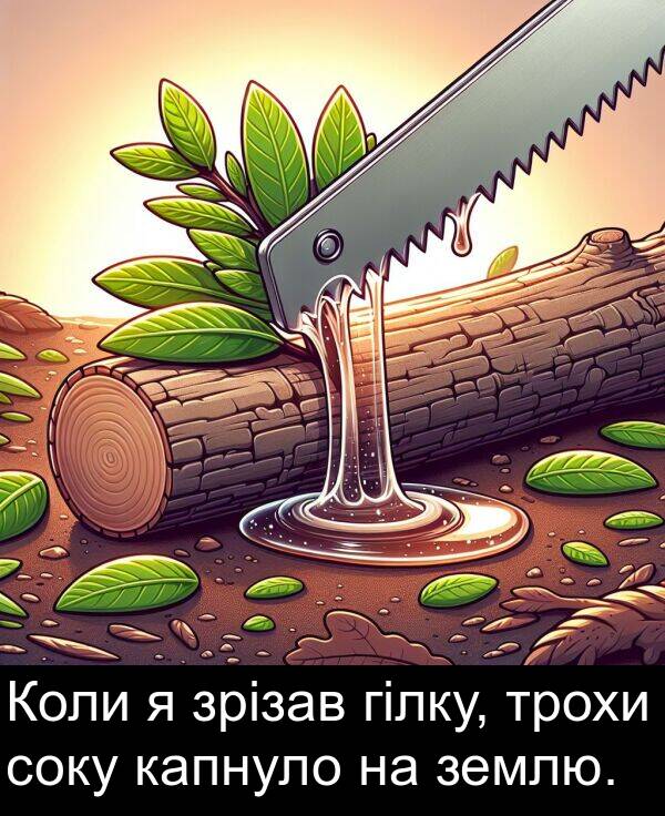 капнуло: Коли я зрізав гілку, трохи соку капнуло на землю.